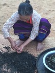 The making of green tea