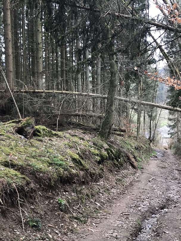 La Transardennaise etappe 1