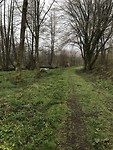 La Transardennaise etappe 2