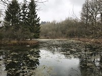La Transardennaise etappe 2