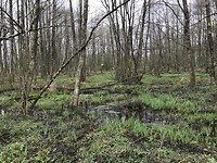 La Transardennaise etappe 2