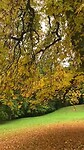 Herfst