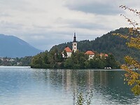 Bled