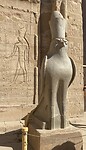 Horus