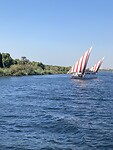 Zeilbootje op de Nijl
