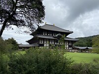 Todaiji tempel@Nara park