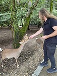 Een softie