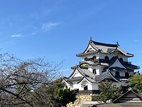 Hikone Castle