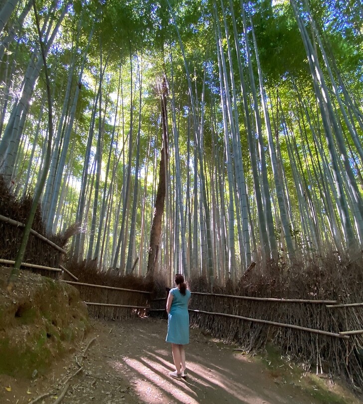 Arashiyama Bamboo Forest