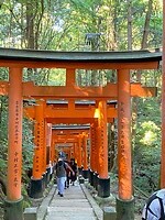 1000’en Torii’s