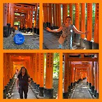 ⛩️⛩️⛩️⛩️⛩️⛩️⛩️⛩️⛩️⛩️⛩️⛩️⛩️⛩️⛩️⛩️⛩️⛩️⛩️⛩️⛩️⛩️⛩️⛩️⛩️⛩️⛩️