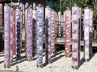 Kimono Forest