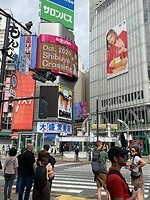 Shibuya crossing