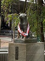 Hachiko…het moeten niet steeds katten zijn hé
