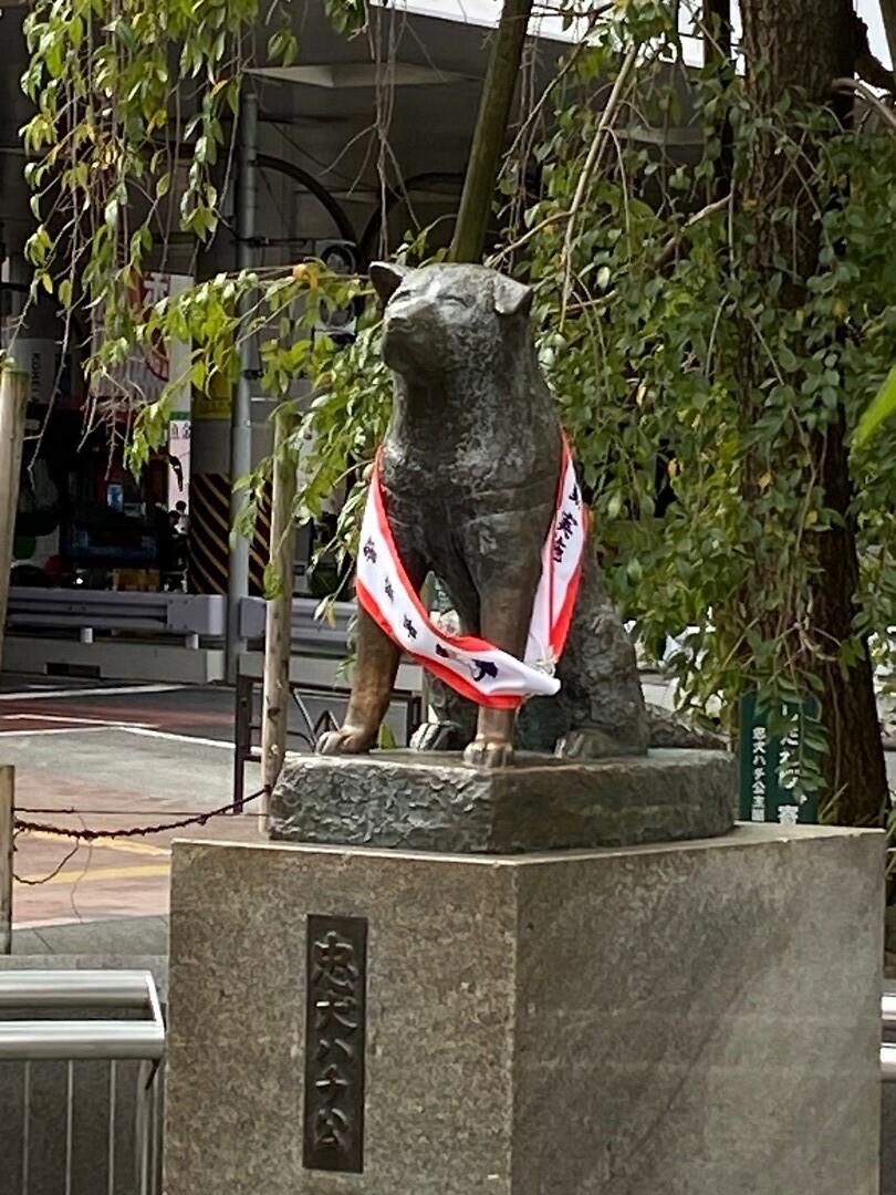 Hachiko…het moeten niet steeds katten zijn hé