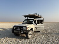 Game drive op de zoutvlakte