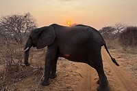 Zonsopgang