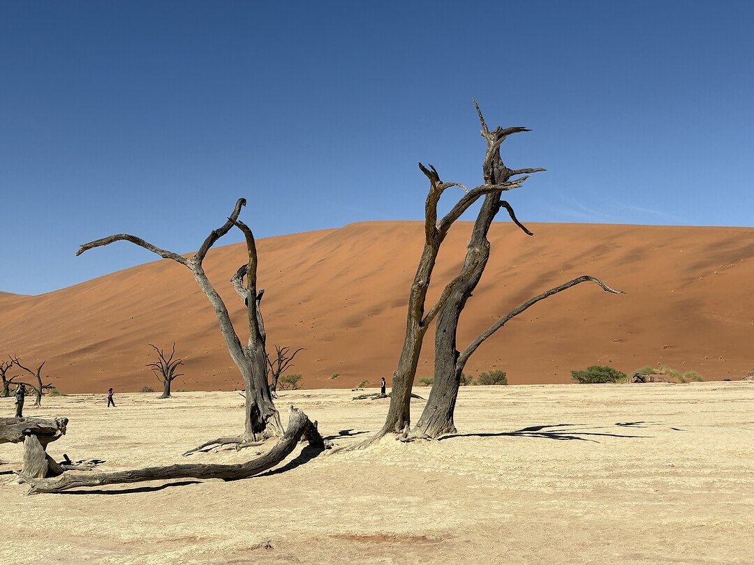 Deadvlei