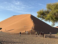 Dune 45