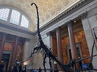 National Museum of Natural History