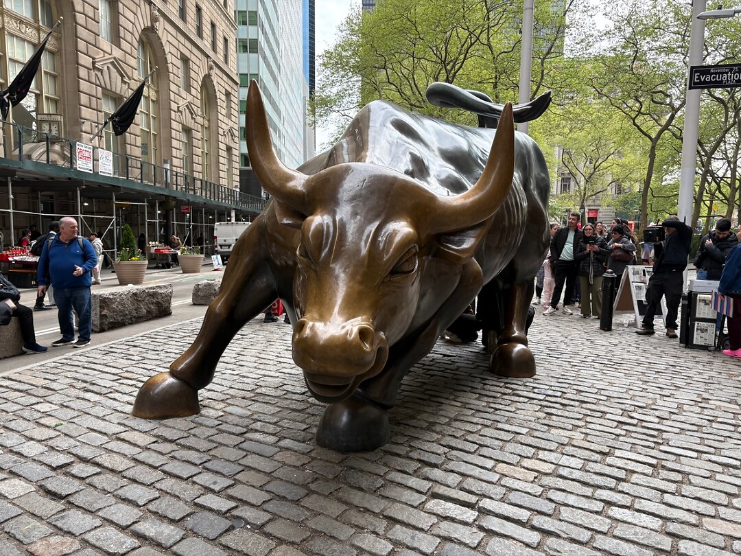 Charging bull