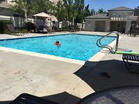 IMG_0640