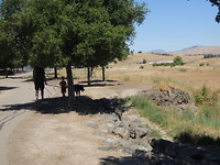 DSCN6617