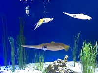 IMG_0003