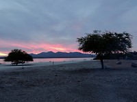 DSCN6761