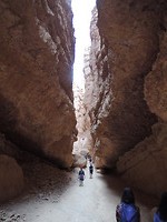 DSCN6887