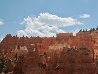 DSCN6907