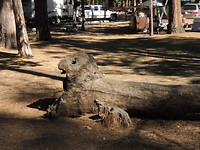 DSCN7061