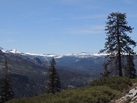 DSCN7111