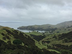 Coromandel