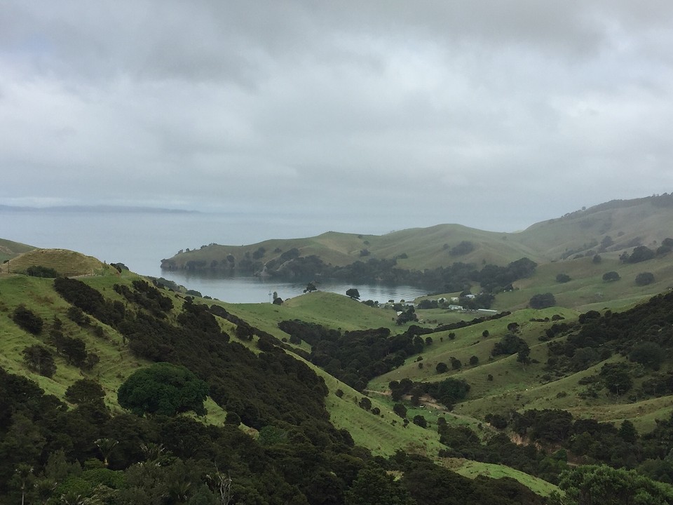 Coromandel