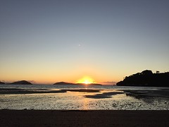 Coromandel