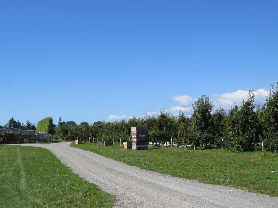 Fruittuin