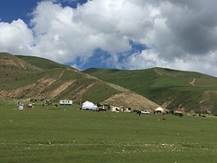 Vele yurts onderweg