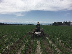 Landwerker