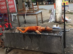 Voor de sterke maag: een hond aan het spit