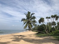 Prachtige stranden!