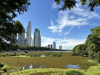 Skyline vanaf de rivier