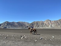 Gaucho
