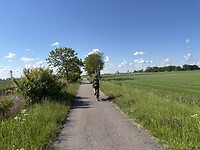 Het weidse Groningen