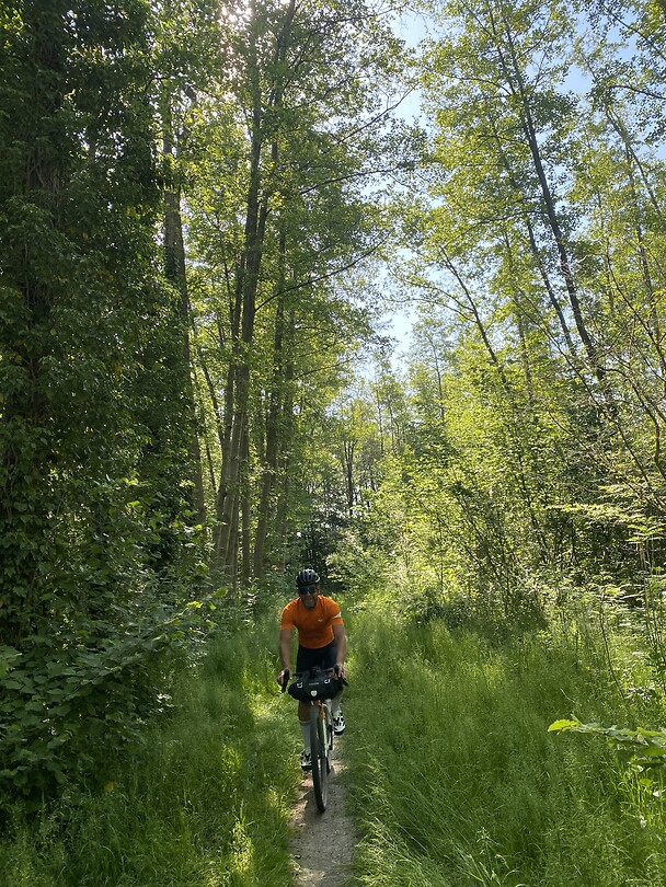 Door het bos