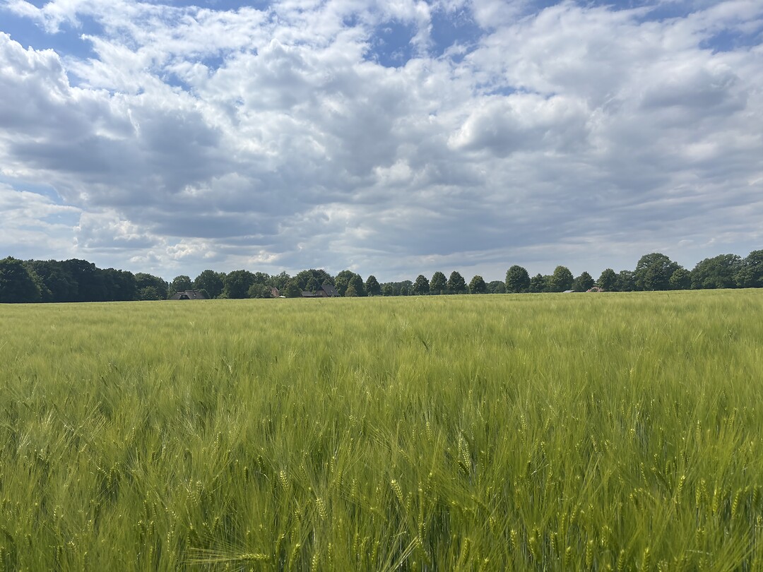 Onderweg