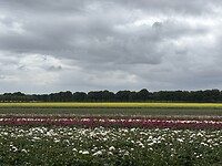 Prachtige kleuren!