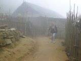 The mist