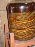 Rice wine with snakes