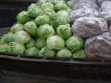 Cabbage